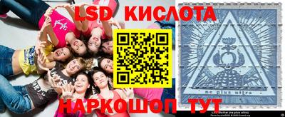 гидра Кимры