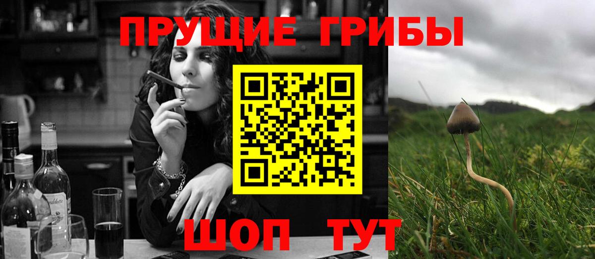 Котлас  Псилоцибиновые грибы мухоморы  Псилоцибиновые грибы MAGIC MUSHROOMS  Вход с VPN 